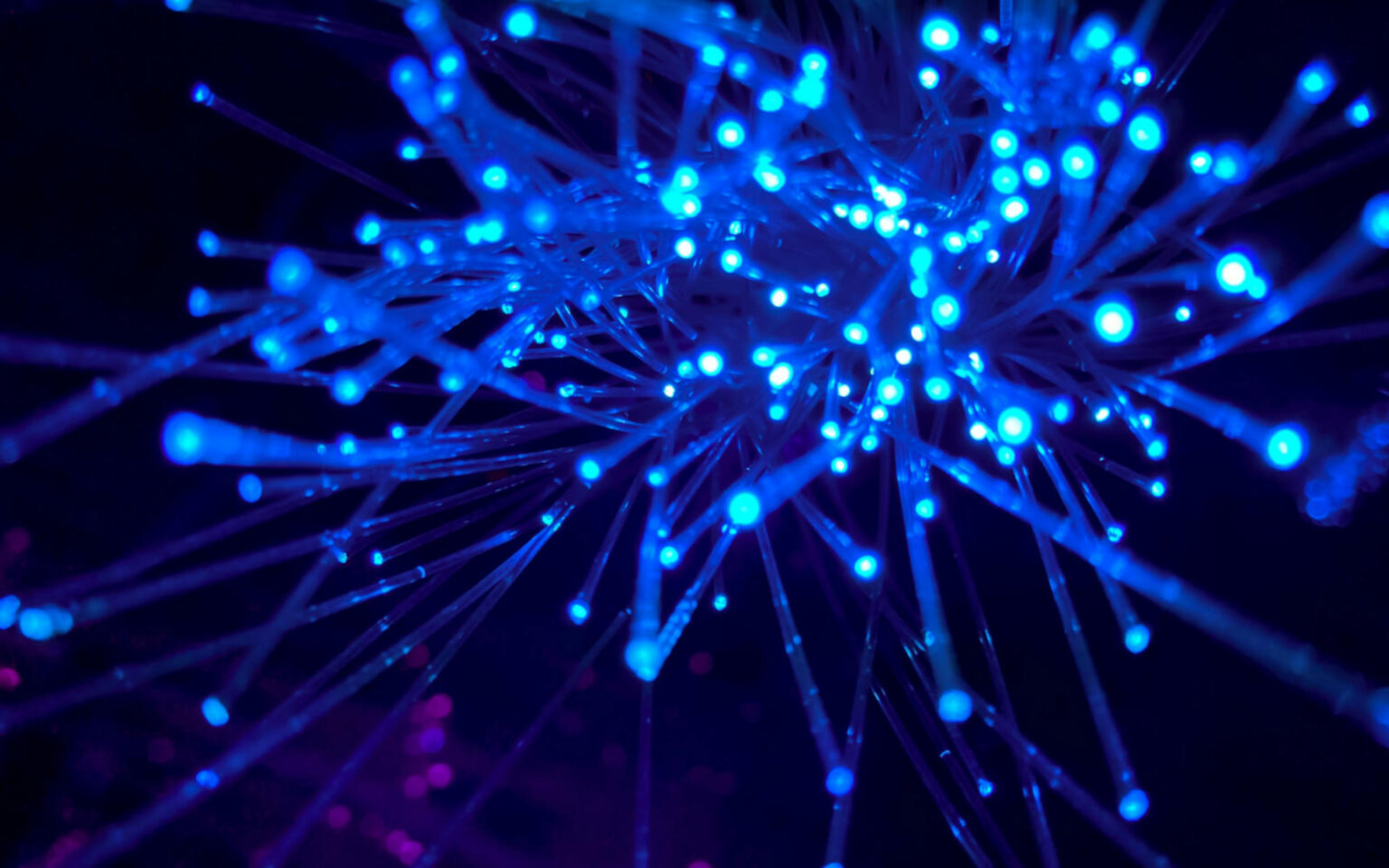 Wired and Wireless Network Architecture and Design